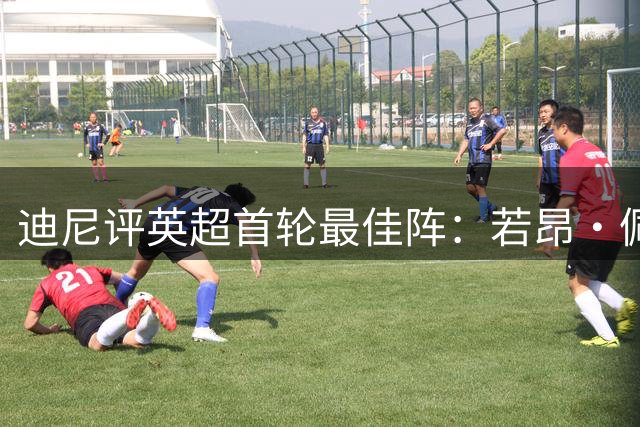 迪尼评英超首轮最佳阵：若昂·佩德罗、帕尔默、措利斯、格伊在列